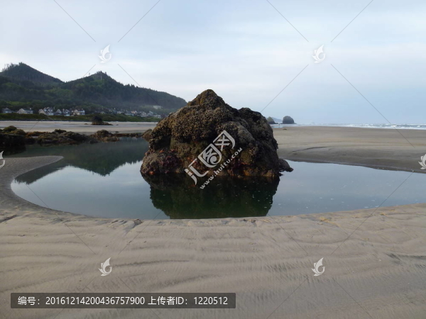 潮池