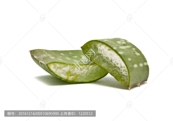 Aloe,vera的碎片