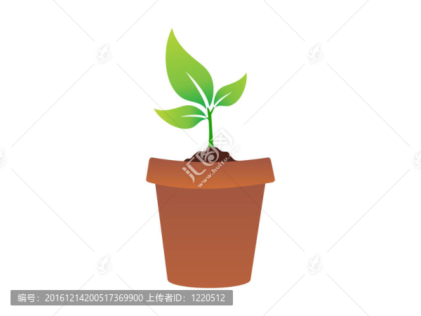 摘要植物圖標(biāo)