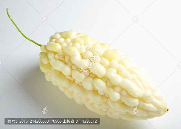 苦瓜