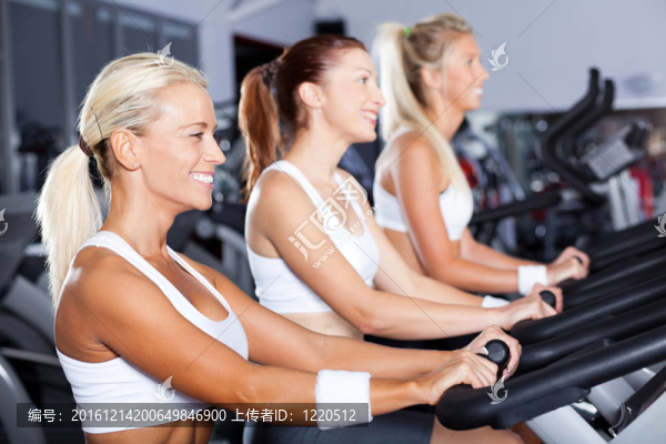 青年女子健身運動組