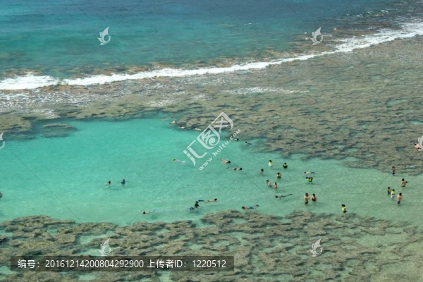 在5,snorklers礁