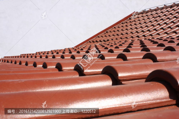 屋頂?shù)募?xì)節(jié)