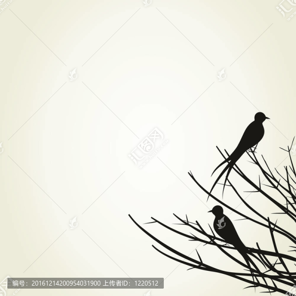 樹枝上的鳥