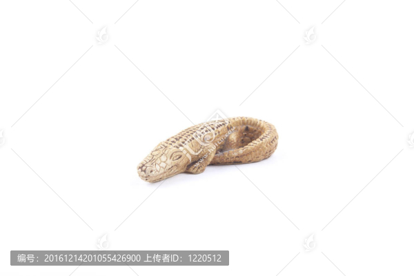 鱷魚紀(jì)念品