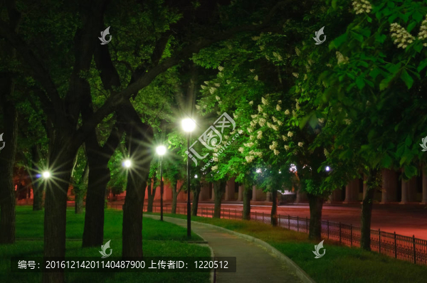 城市的夜生活
