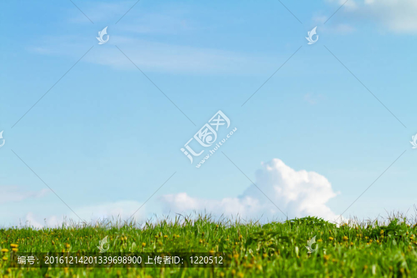 綠草如茵的藍天；大量的復制空間