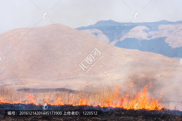 控制草燃燒附近的阿蘇山；日本
