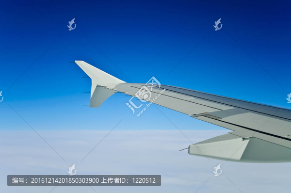 翼飛機(jī)