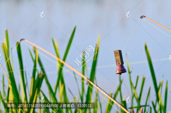 天與水為背景的鐘桿釣魚竿