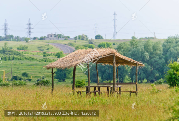 草地上有蘆葦屋頂?shù)姆孔? title=