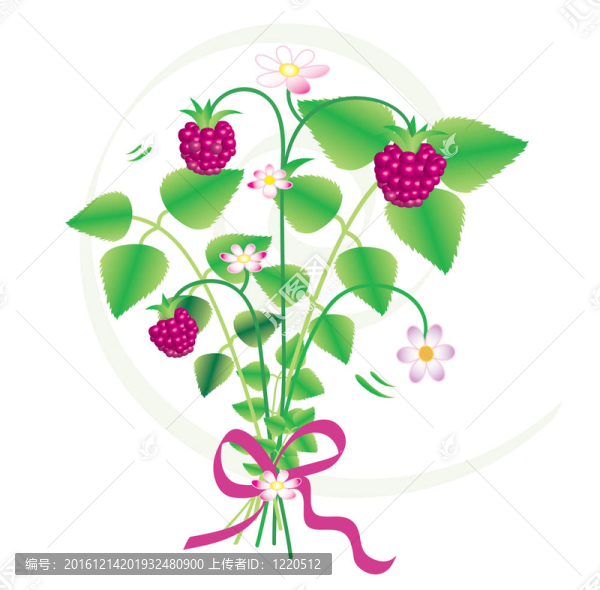 花草莓