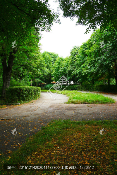 公園里的小路
