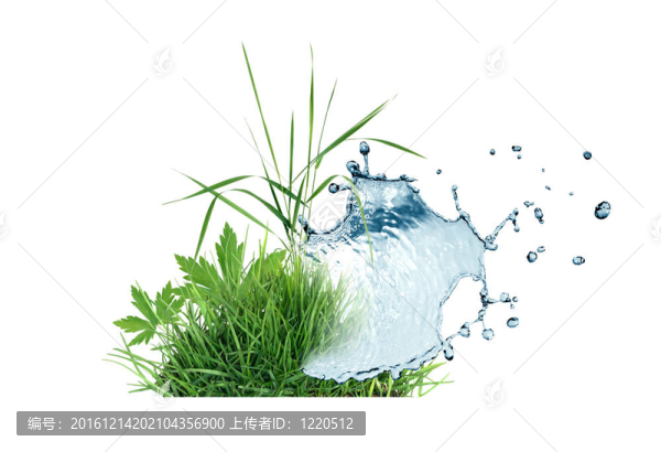 草和水