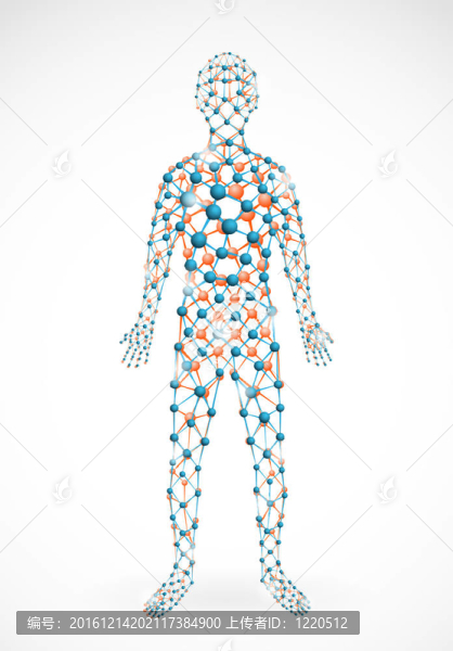分子的人