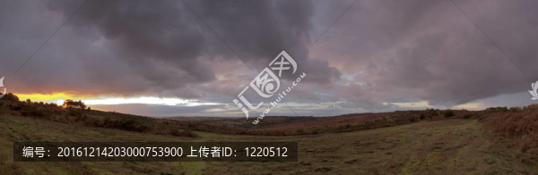 阿斯頓森林
