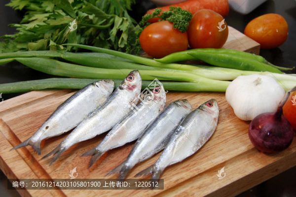 魚與裝飾