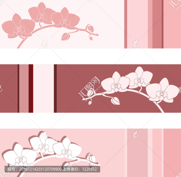 花卉背景。