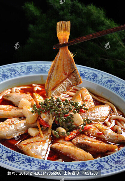 盆盆耗兒魚(yú)