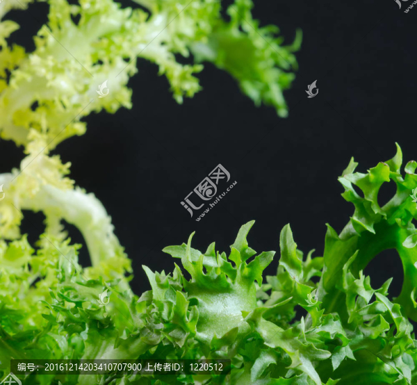 薩拉德