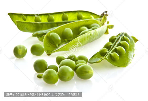 新鮮的綠色豌豆莢和白色背景的豌豆。