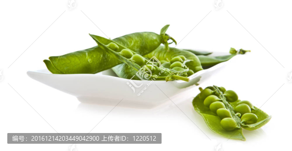 白色背景下的新鮮豌豆和豆莢