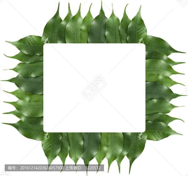 榕葉架