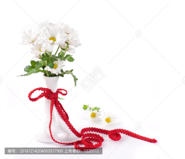 白色的花；在一個(gè)紅色帶花瓶場(chǎng)camomiles