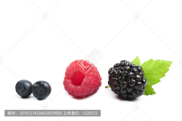 新鮮漿果分離
