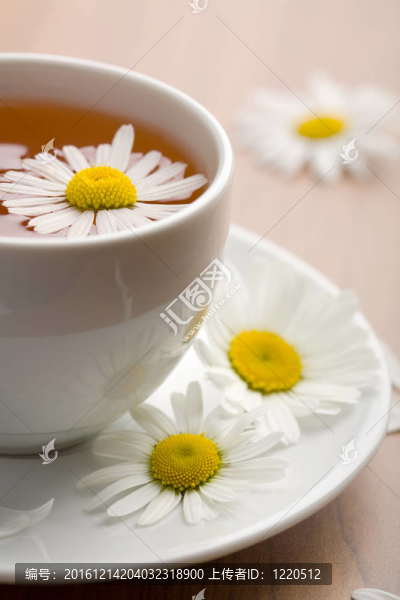 草藥茶和菊花杯