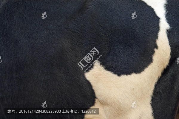 皮革紋理