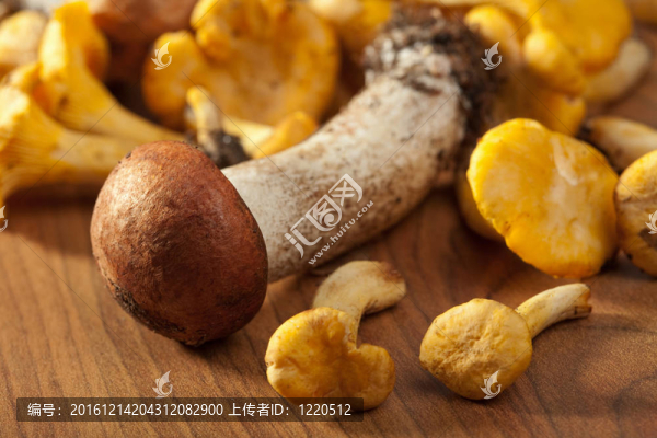 新鮮蘑菇