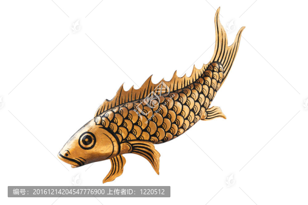 魚的幸運(yùn)