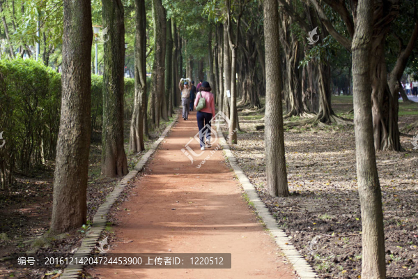 森林浴