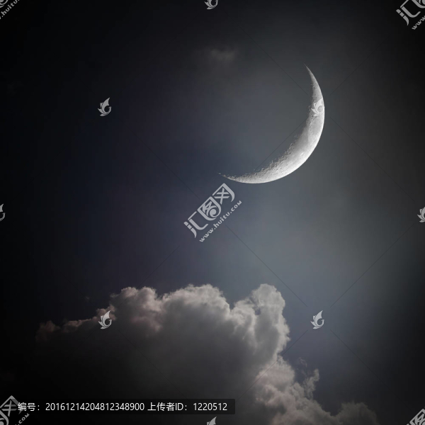 黑夜中的Moon