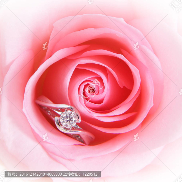 浪漫粉紅玫瑰鉆石結(jié)婚戒指