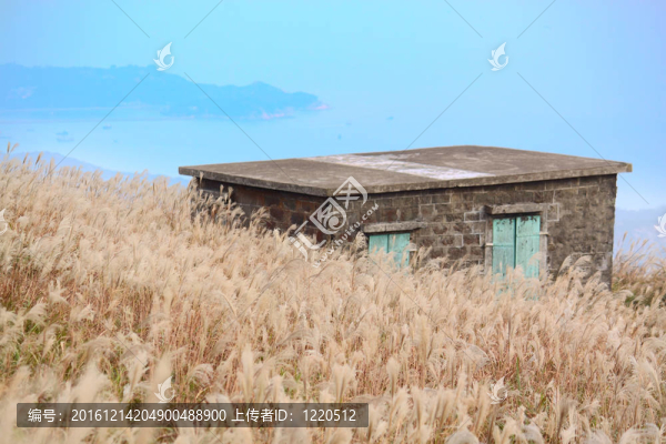 山上有草的老石屋