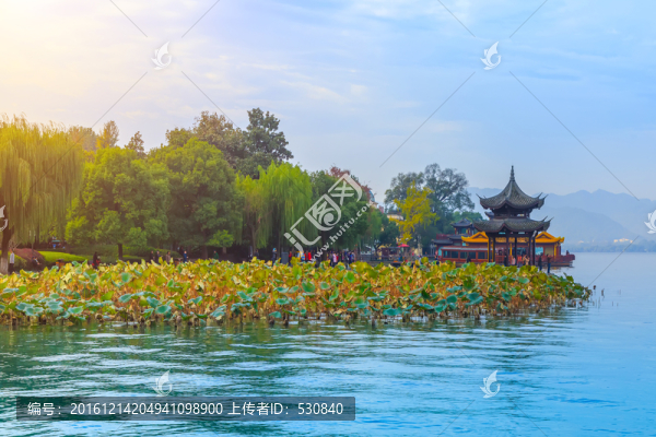 杭州西湖風(fēng)光