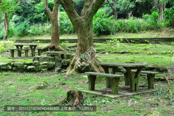 森林野餐地