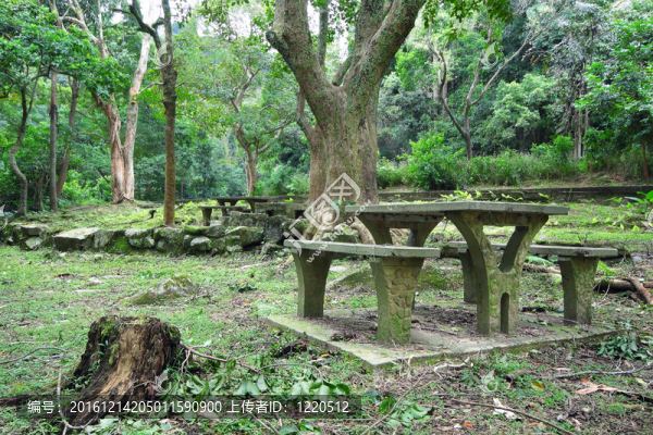 森林野餐地