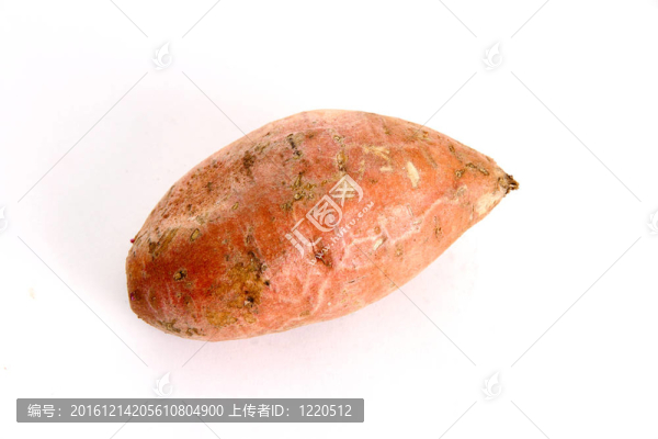 甘薯-匯圖網(wǎng) www.fosd68.com 甘薯