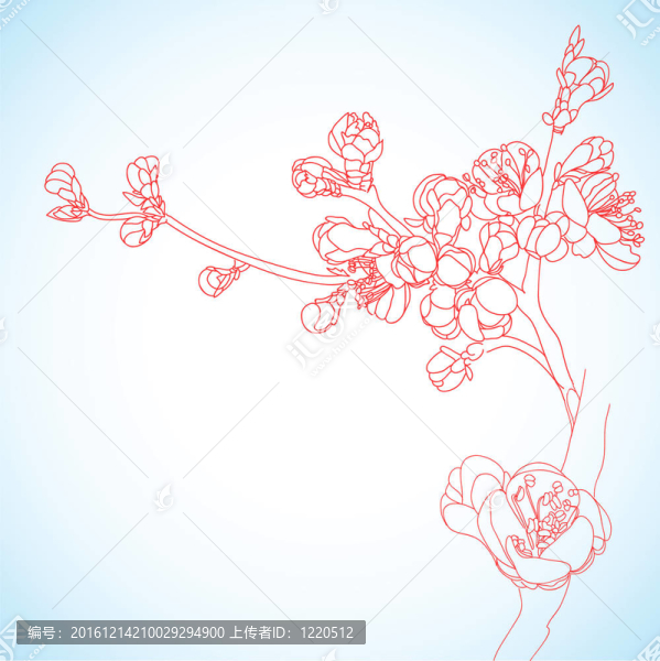 背景與櫻花花