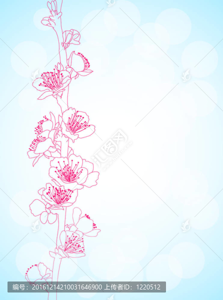 背景與櫻花花
