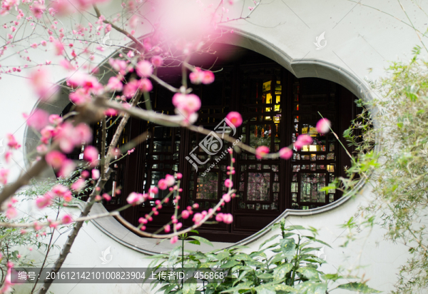 紅梅報(bào)春