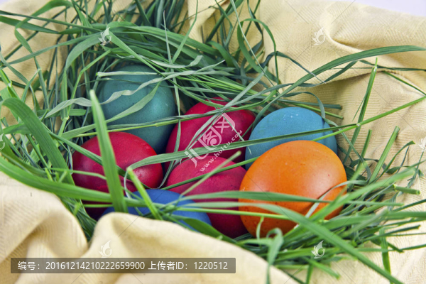 巢中的復(fù)活節(jié)彩蛋