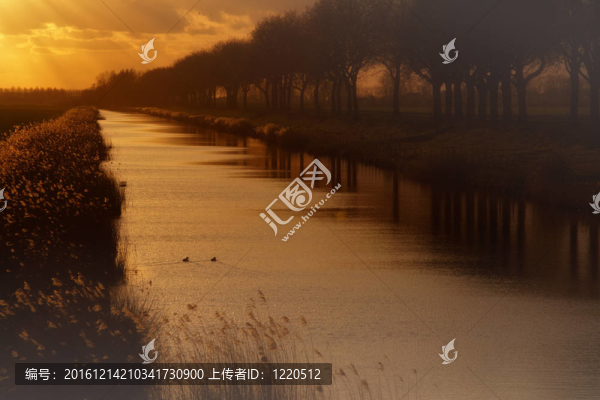 荷蘭景觀