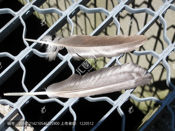 桑希爾2009筆