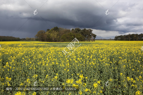 暴風(fēng)雨的天空景觀