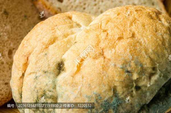 老的不能吃的食物