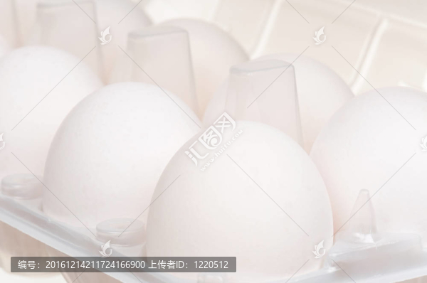 雞蛋盒